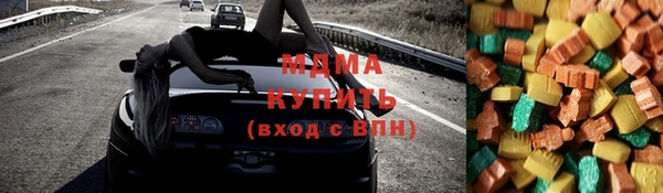 гидра Покачи