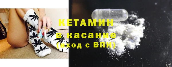 гидра Покачи
