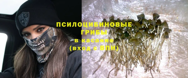 гидра Покачи