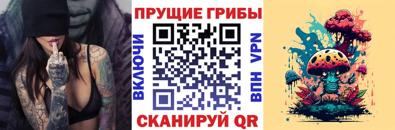 Галлюциногенные грибы Psilocybe где продают наркотики Суздаль